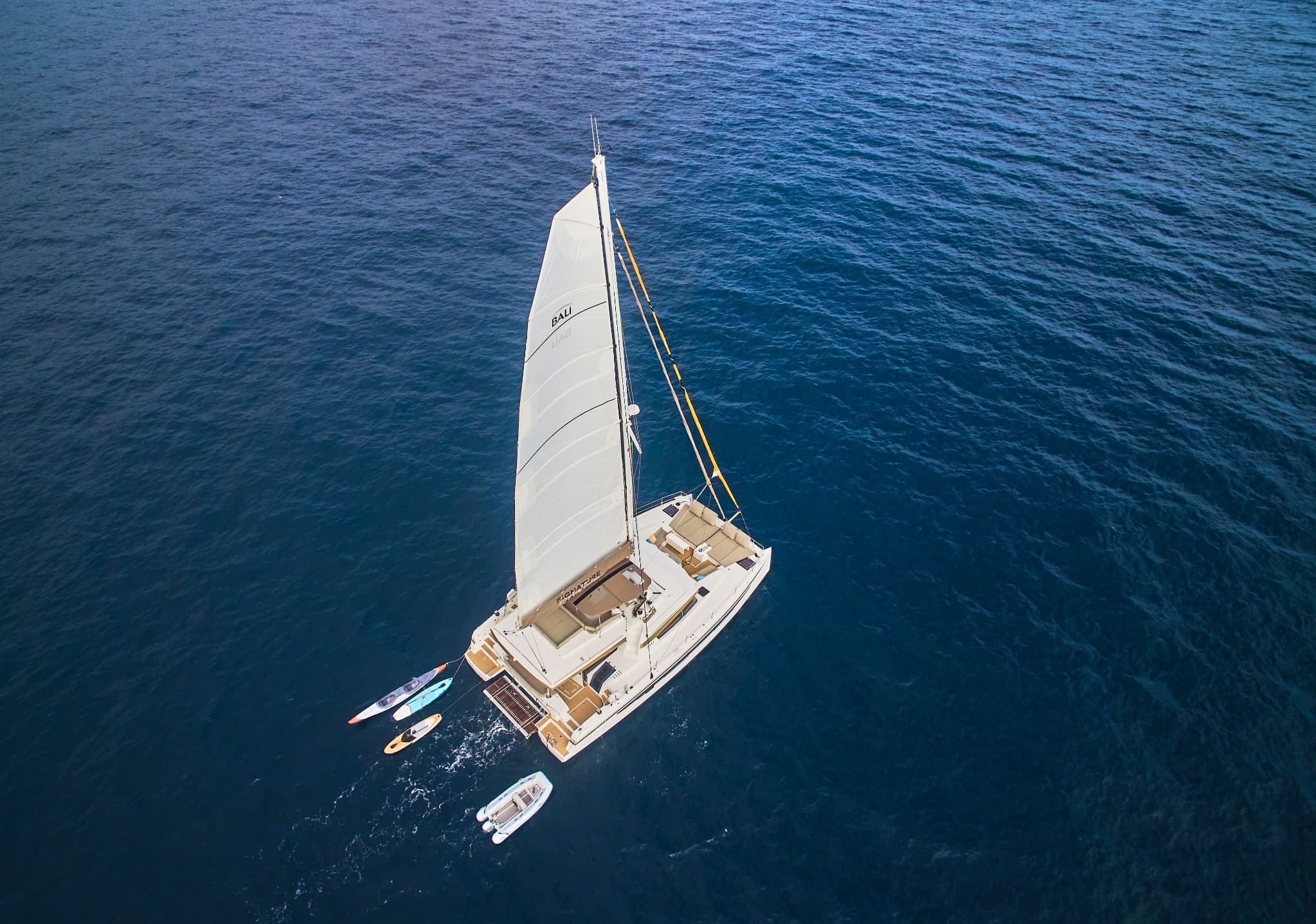 Signature Concept 2.jpeg