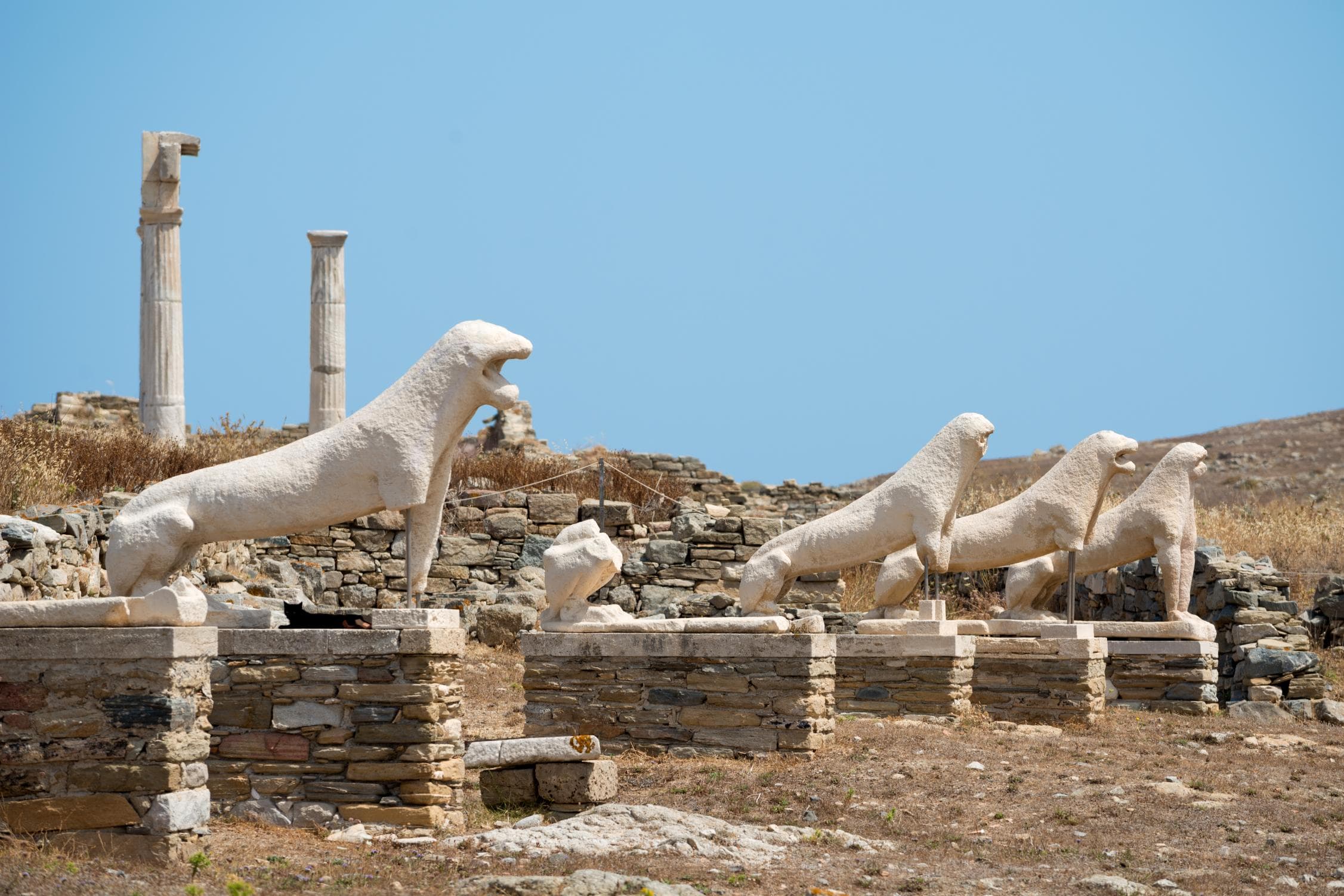 Rhenia, Delos & Mykonos South Coast | Private 8-hour yacht experience with Tesoro T41 Cat